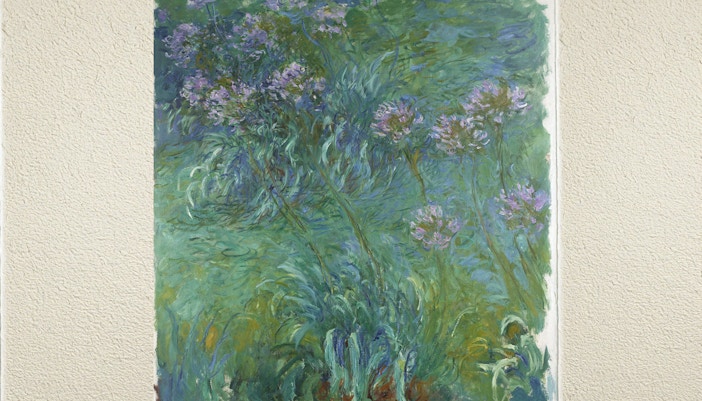 Agapanthus (1914-26)