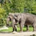 Copenhagen Zoo