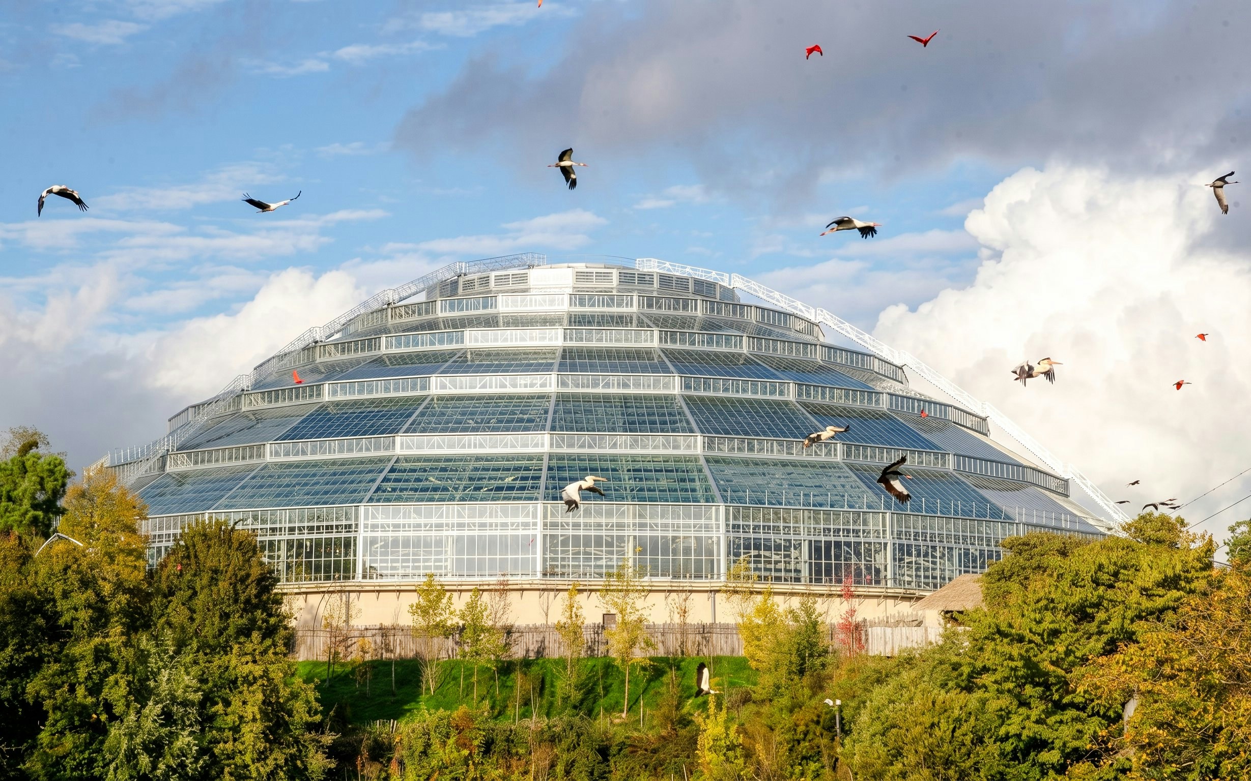 Equatorial Dome