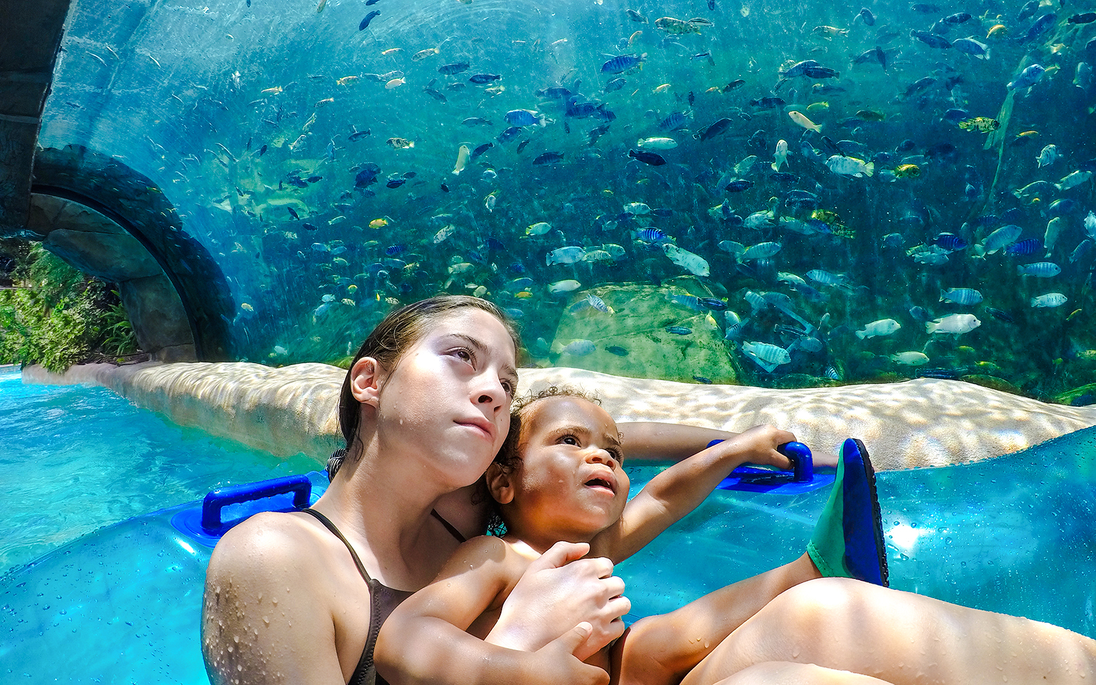 Mother and son on a water slide surrounded by fish in an aquarium tunnel.