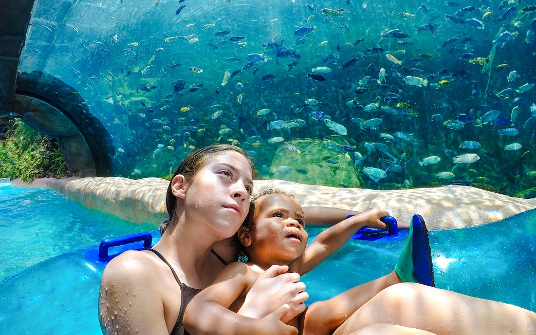 Mother and son on a water slide surrounded by fish in an aquarium tunnel.