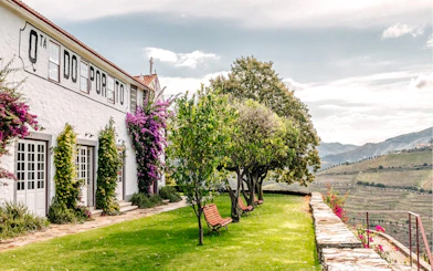 Ferreira Port Wine Cellar exterior with vineyard view in Porto.