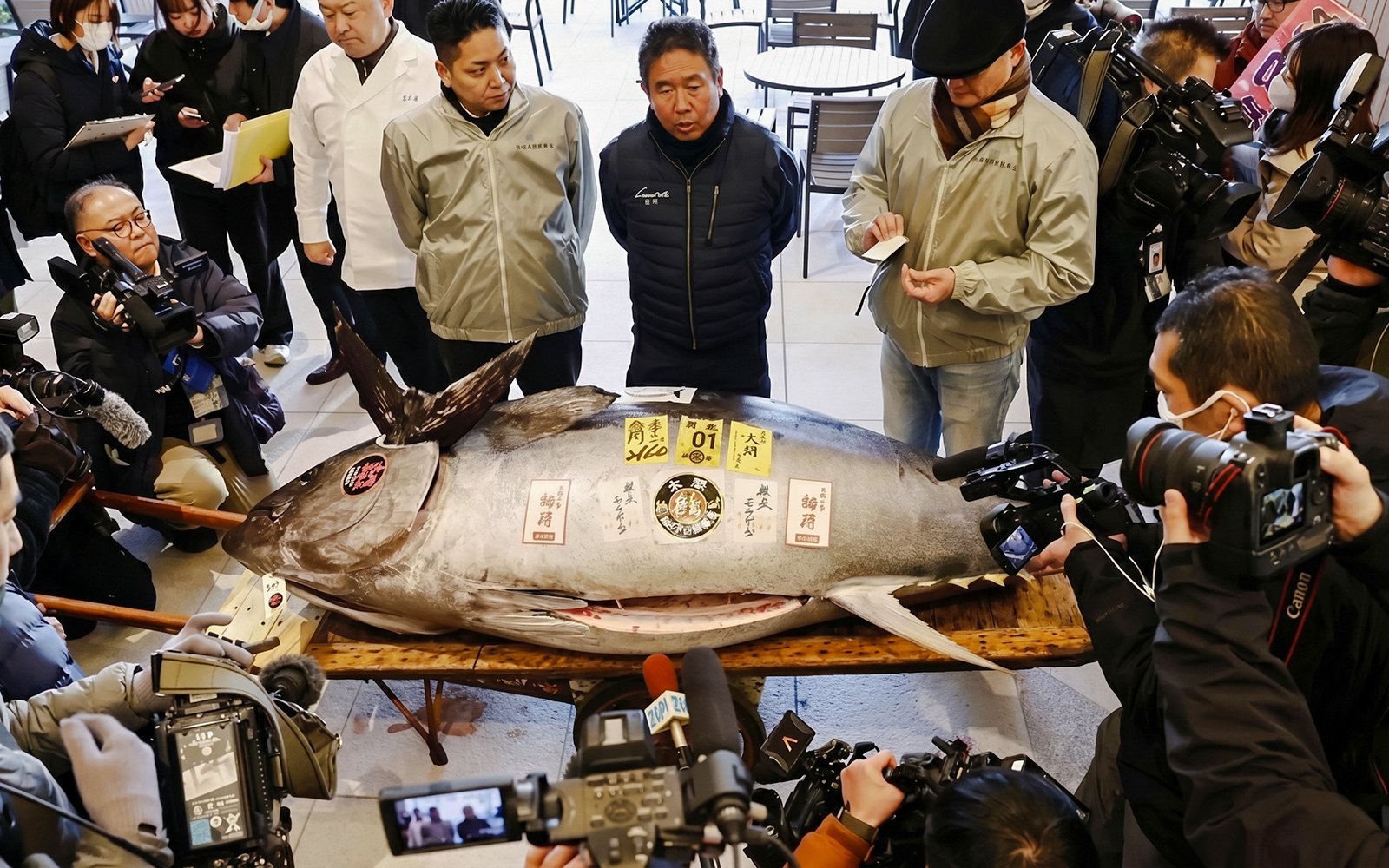 Toyosu tuna auction with large tuna surrounded by people and cameras in Tokyo, Japan.