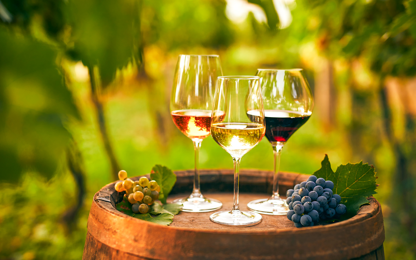 Wine glasses on a barrel with grapes during Vineyard & Wine Tasting tour in Cappadocia.