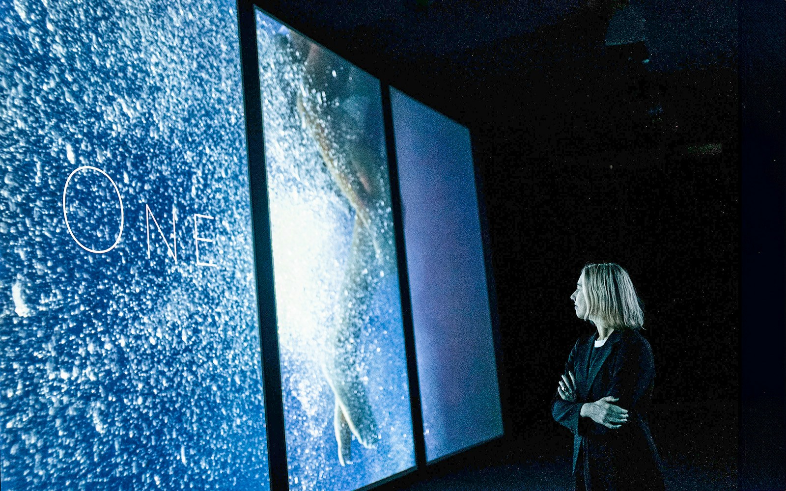 One Planet, One Ocean