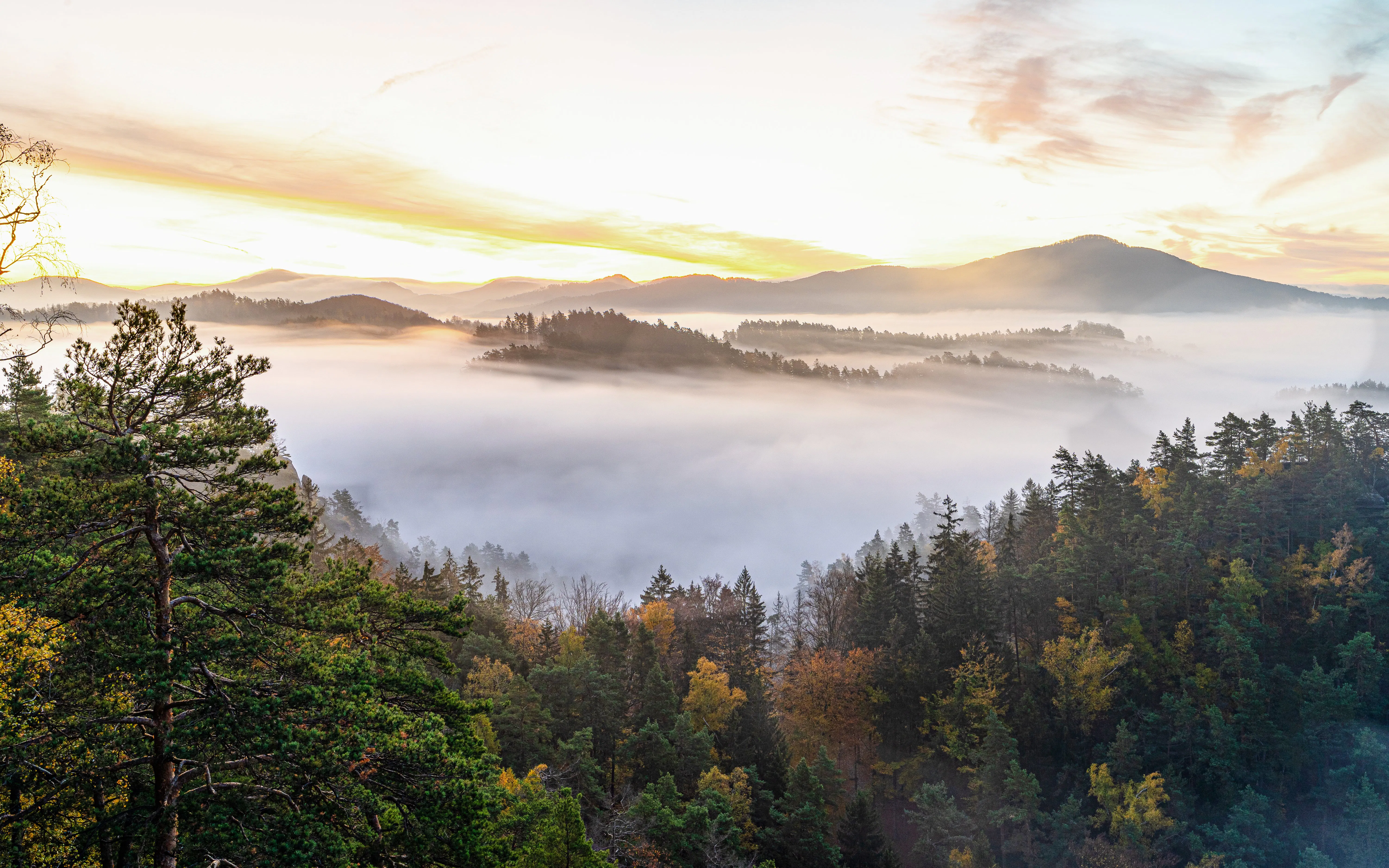 Foggy sunrise over forested hills at the glass viewpoint in Jetřichovice.
