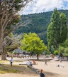 San Martín de los Andes