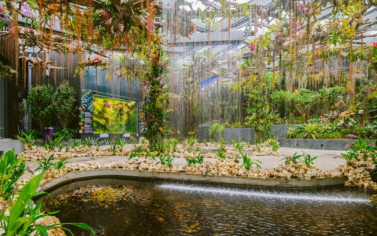 Indoor garden with lush plants and water feature at Singapore attraction.