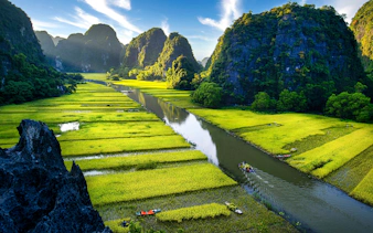 Boats navigating river through lush rice fields in Trang An, Ninh Binh, surrounded by limestone karsts.