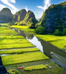 Trang An Sampan Boat Ride