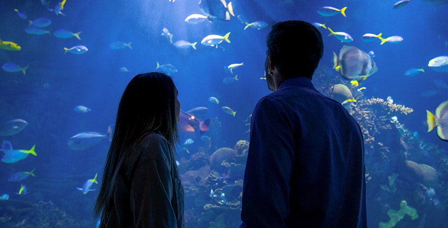 Valencia Oceanografic Tickets