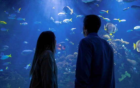 Valencia Oceanografic Tickets