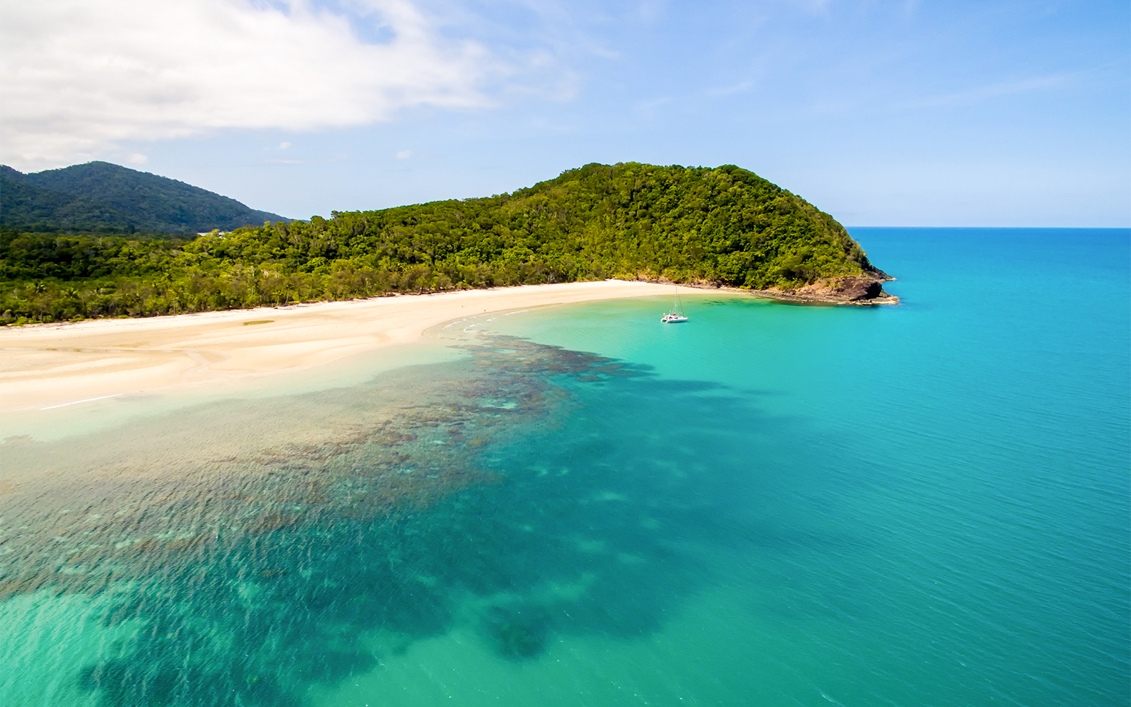 Aerial view of a beach and lush forest in Daintree National Park, Australia.