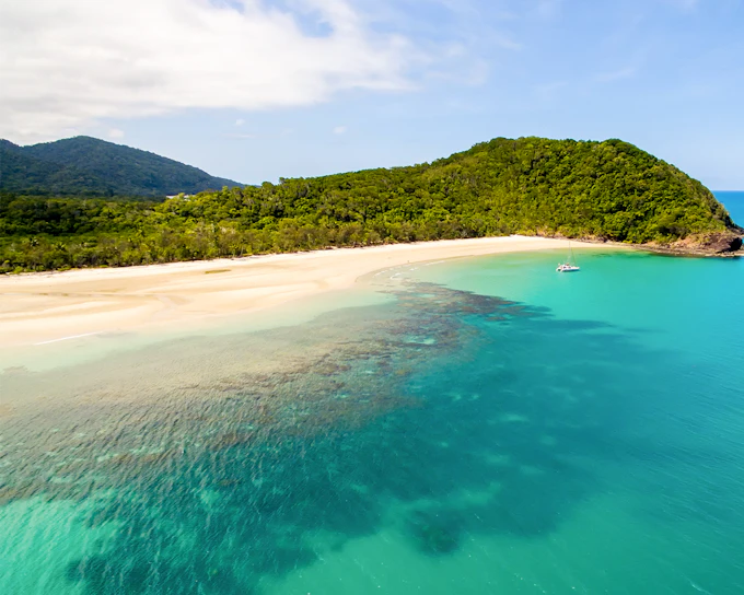 From Cairns/ Port Douglas: Full Day Tour of Daintree, Mossman Gorge & Cape Tribulation with Lunch & River Cruise