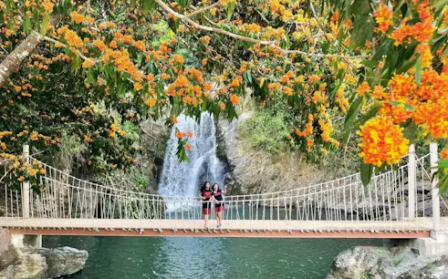 Suspension bridge over a waterfall with orange flowers in Da Nang.