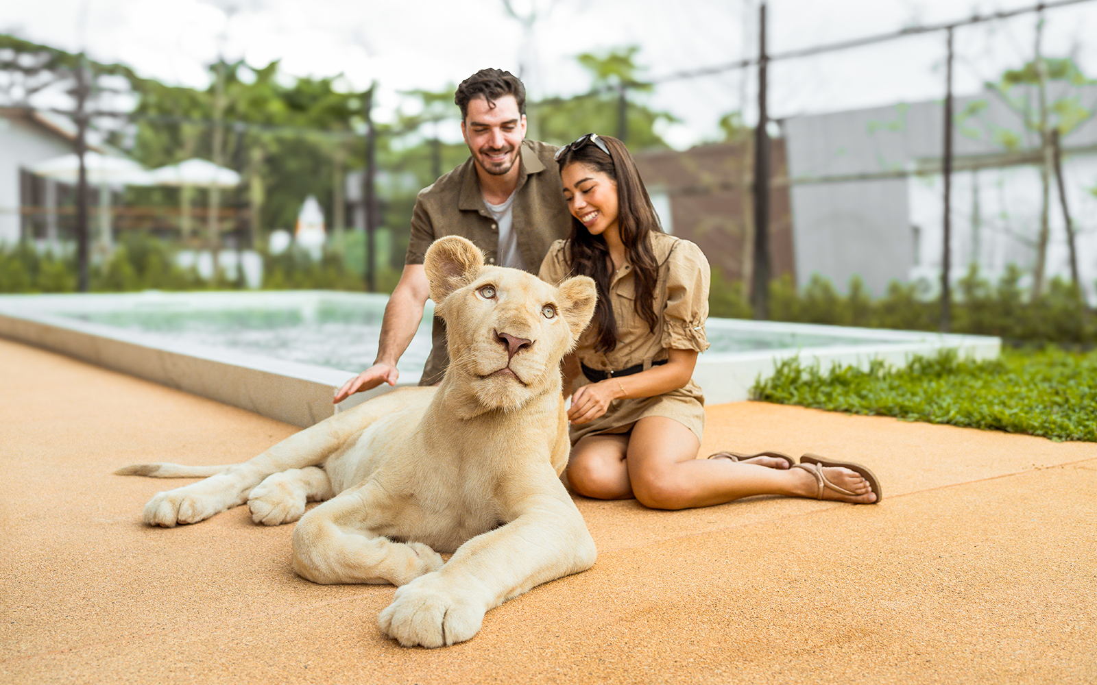 Couple sitting with a lioness at Lion Land Phuket.