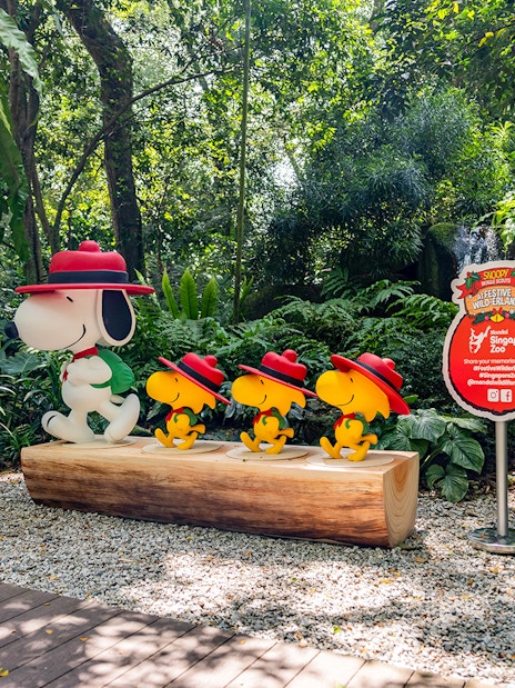 Snoopy and Beagle Scouts statues at Singapore Zoo amidst lush greenery.