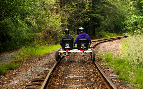Two people riding railbikes on a forested track towards Glen Blair Bar.