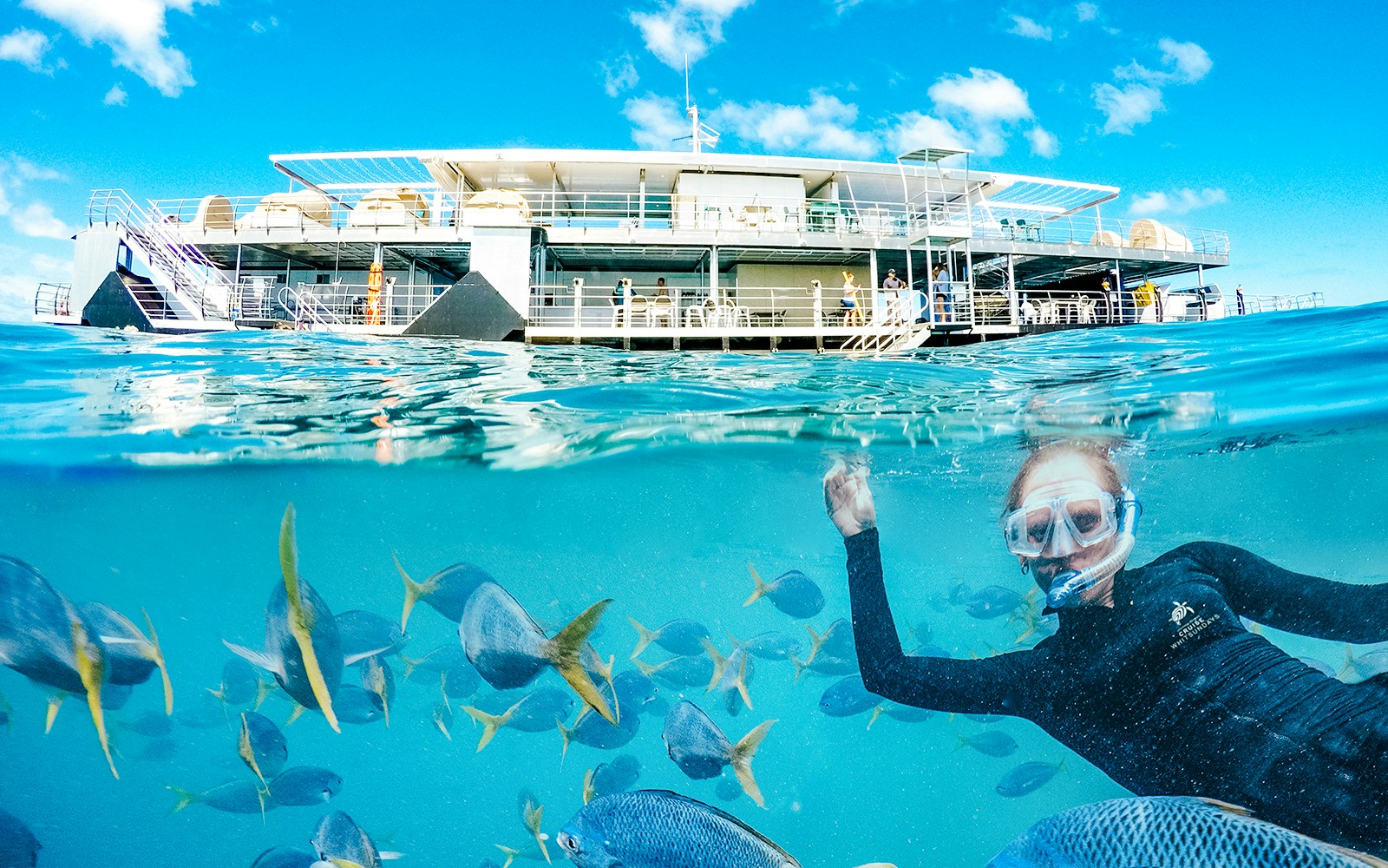 Snorkeller near pontoon with fish at Great Barrier Reef.