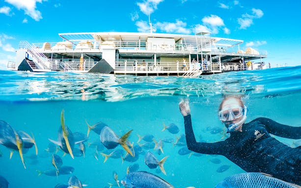 Snorkeller near pontoon with fish at Great Barrier Reef.