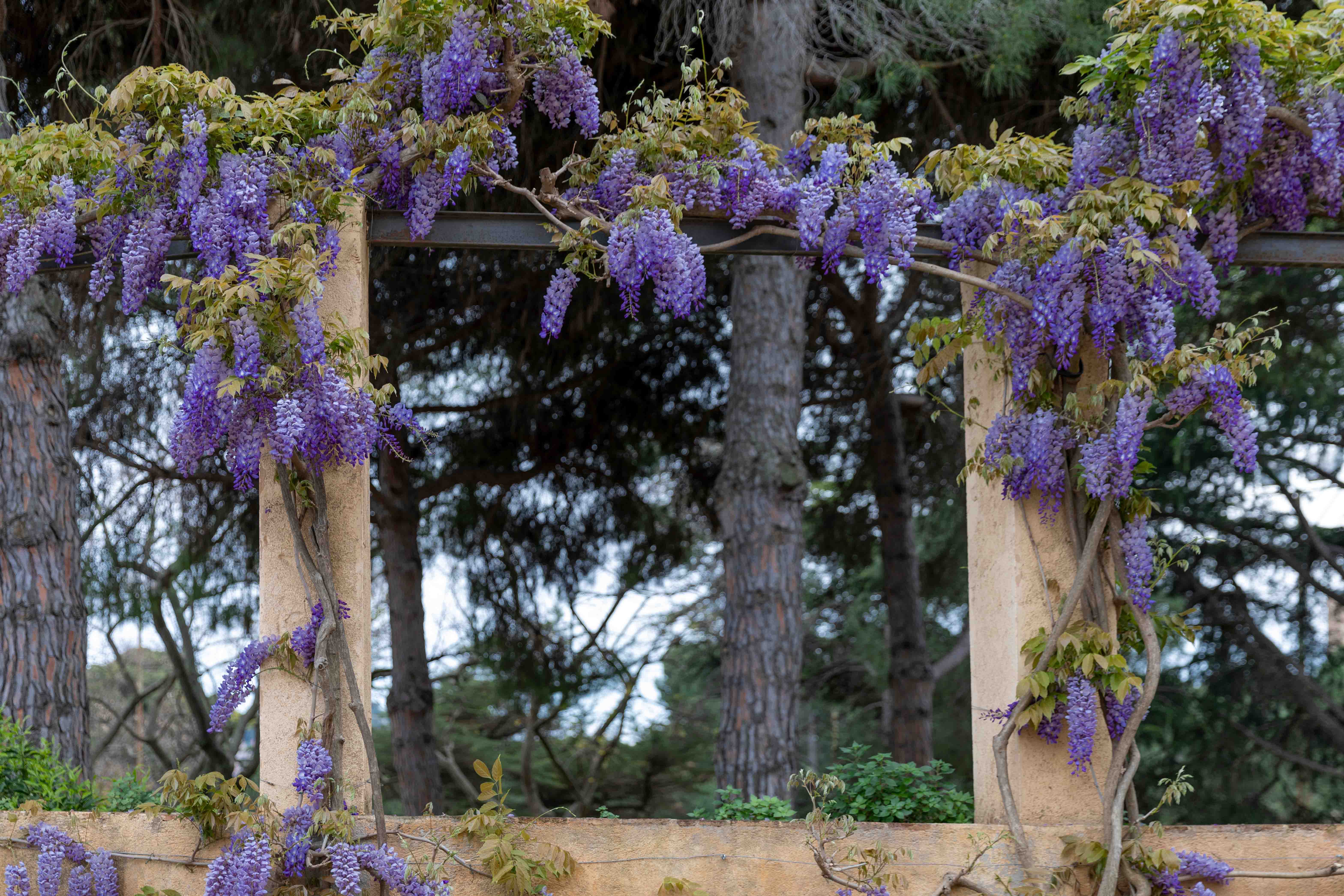 Botanical Garden Barcelona