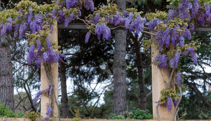 Botanical Garden Barcelona