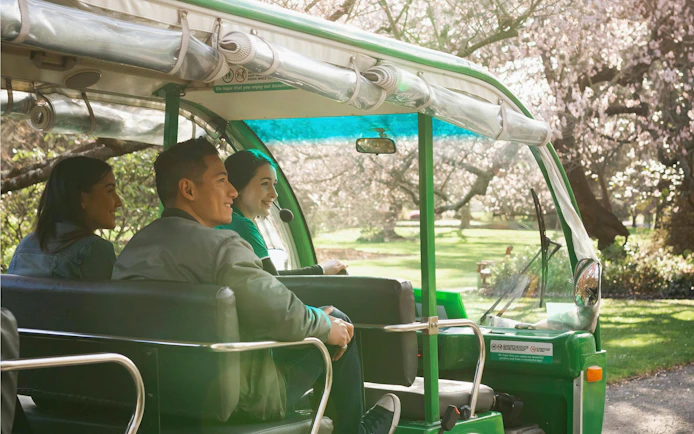 Tourists enjoying a guided tram ride through Christchurch Botanic Gardens.