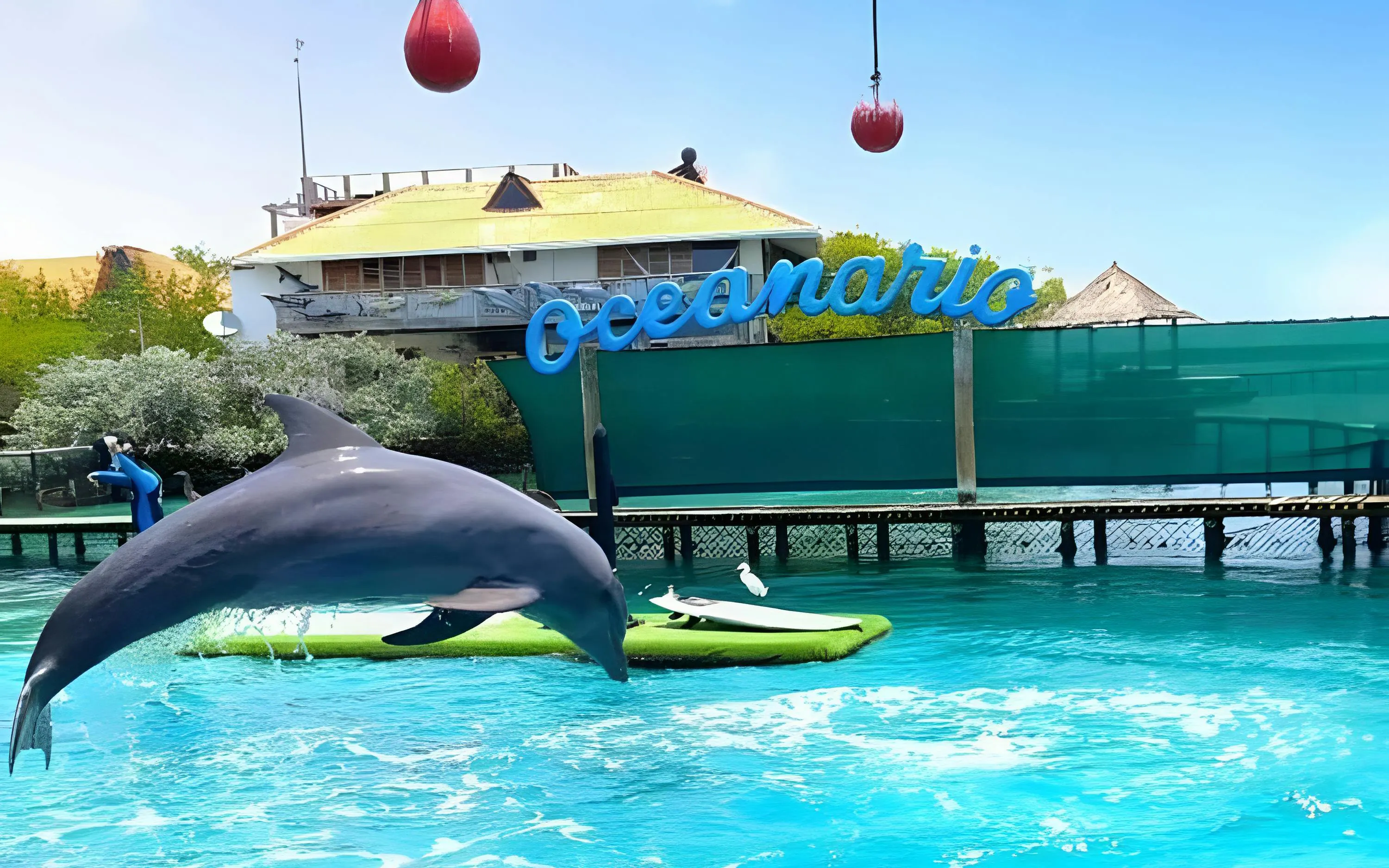 Dolphin jumping at Oceanarium of Cartagena, Rosario Island, Colombia.
