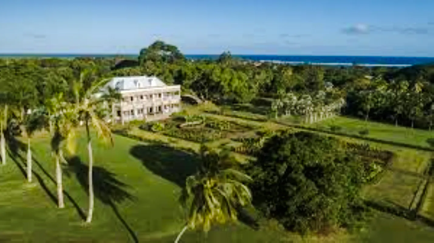 dagstur til teplantasjer og kolonitidsgårder på mauritius med lunsj og hotelltransport-6