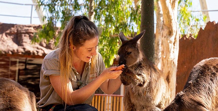 WILD LIFE Sydney Zoo Tickets