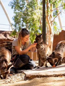 WILD LIFE Sydney Zoo Tickets