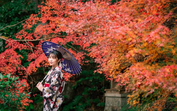 Lady in kimono with umbrella amidst vibrant autumn leaves in Japan.