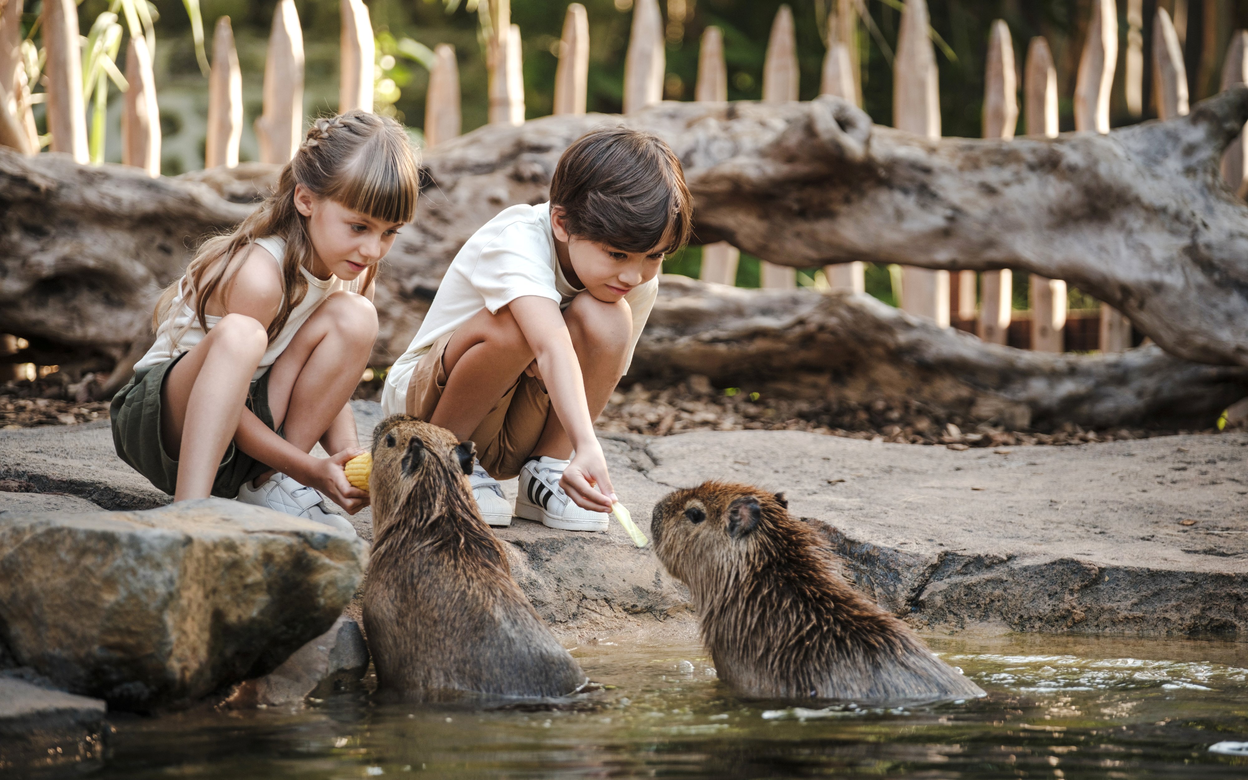 Children feeding capybaras at Bali Zoo interaction area.