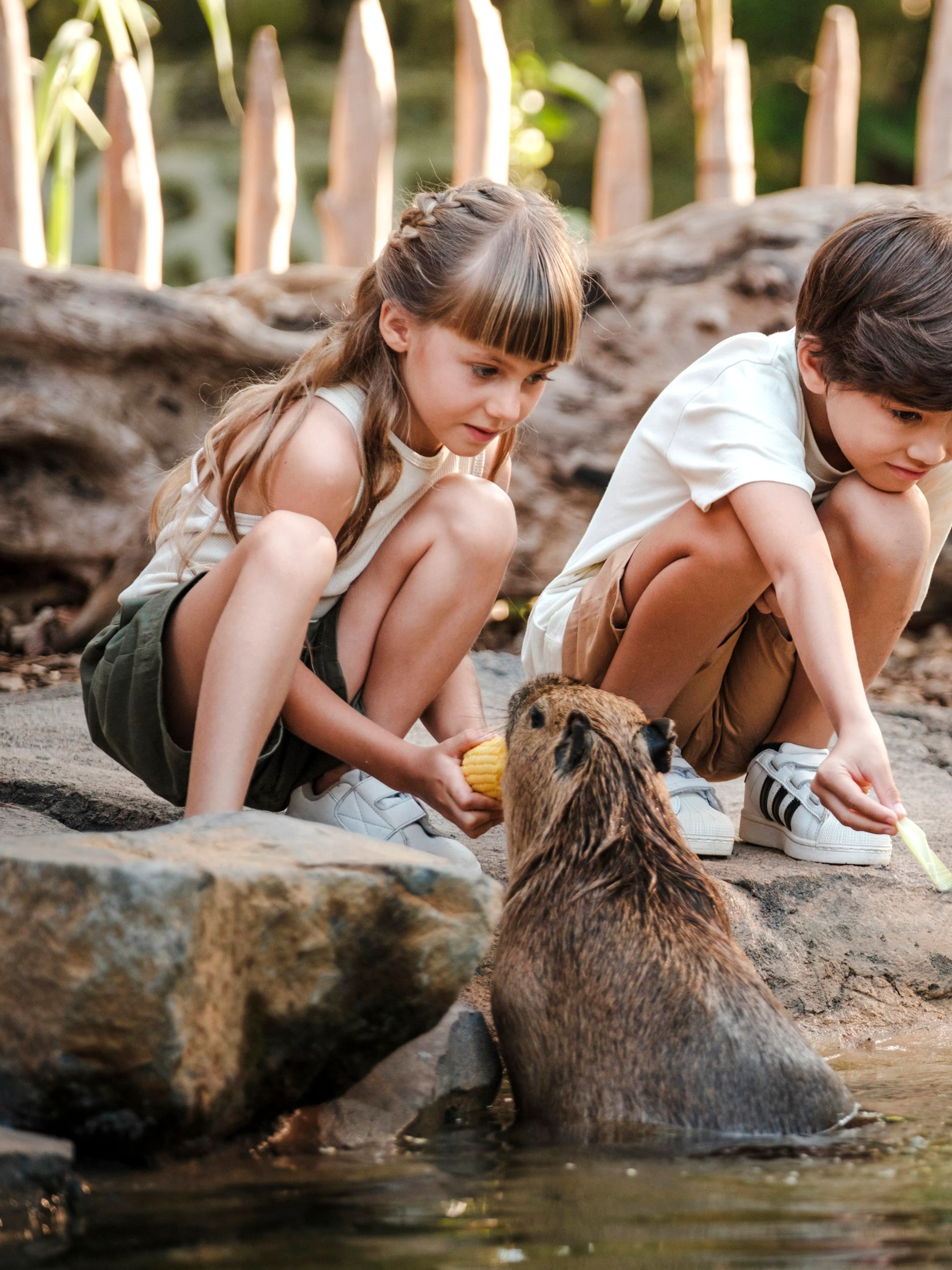 Children feeding capybaras at Bali Zoo interaction area.