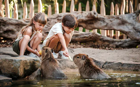 Children feeding capybaras at Bali Zoo interaction area.