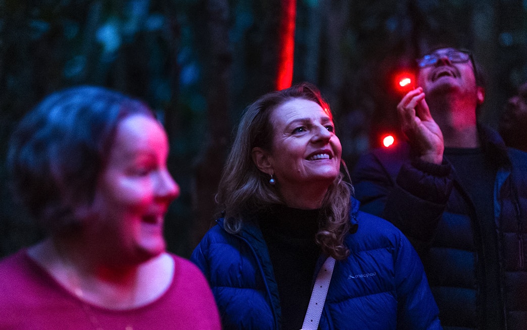 Visitors enjoying the Evening Rainforest & Glow Worm Experience.