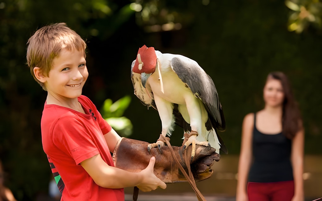 Child holding a bird at Bali Bird Park.