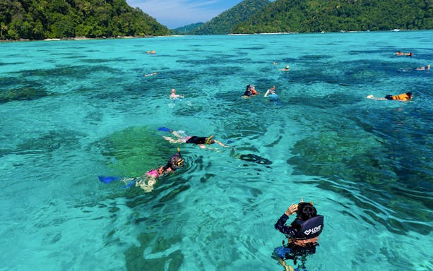 Snorkelers exploring clear waters near Surin Island, Thailand, with lush green hills in the background.