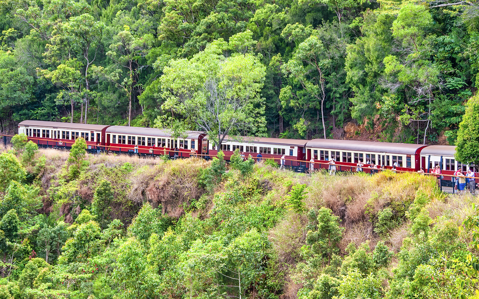 Kuranda Scenic Railway train traveling through lush rainforest landscape.