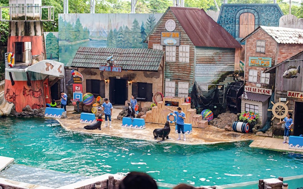 Seals performing tricks with trainers at Marine Park's themed show area.