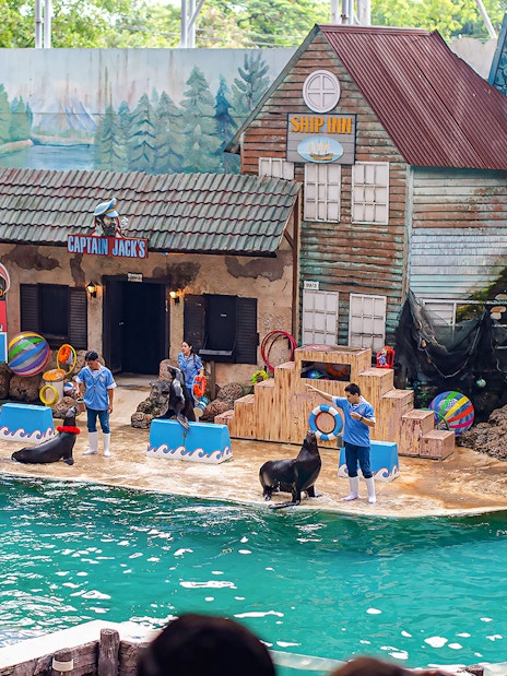 Seals performing tricks with trainers at Marine Park's themed show area.