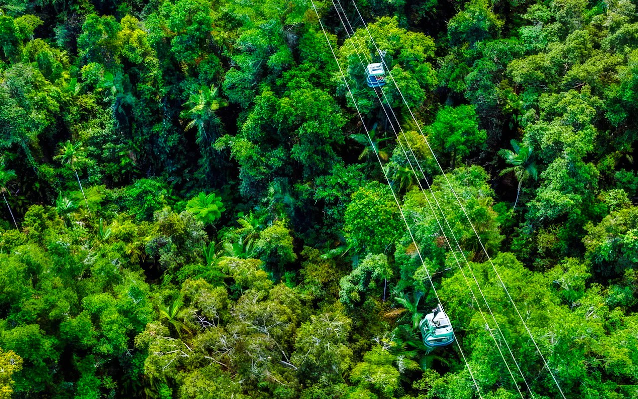 Barron Falls, Cattana Wetlands e tour pelo teleférico Skyrail Rainforest — 9