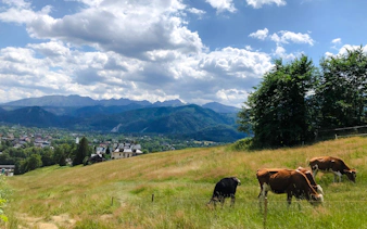 von krakau aus: tagesausflug nach zakopane mit fahrt mit der gubalowka-seilbahn sowie käse- und wodka-verkostung-1