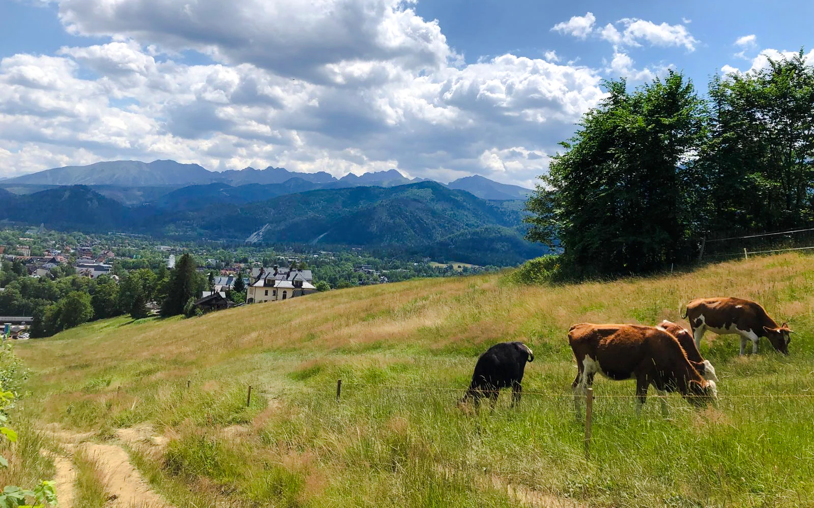 From Krakow: Zakopane Day Trip with Gubalowka Cable Car and Cheese & Vodka Tasting (Product 54149)