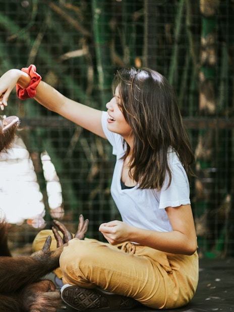Tourist interacting with orangutan at Lombok Wildlife Park.