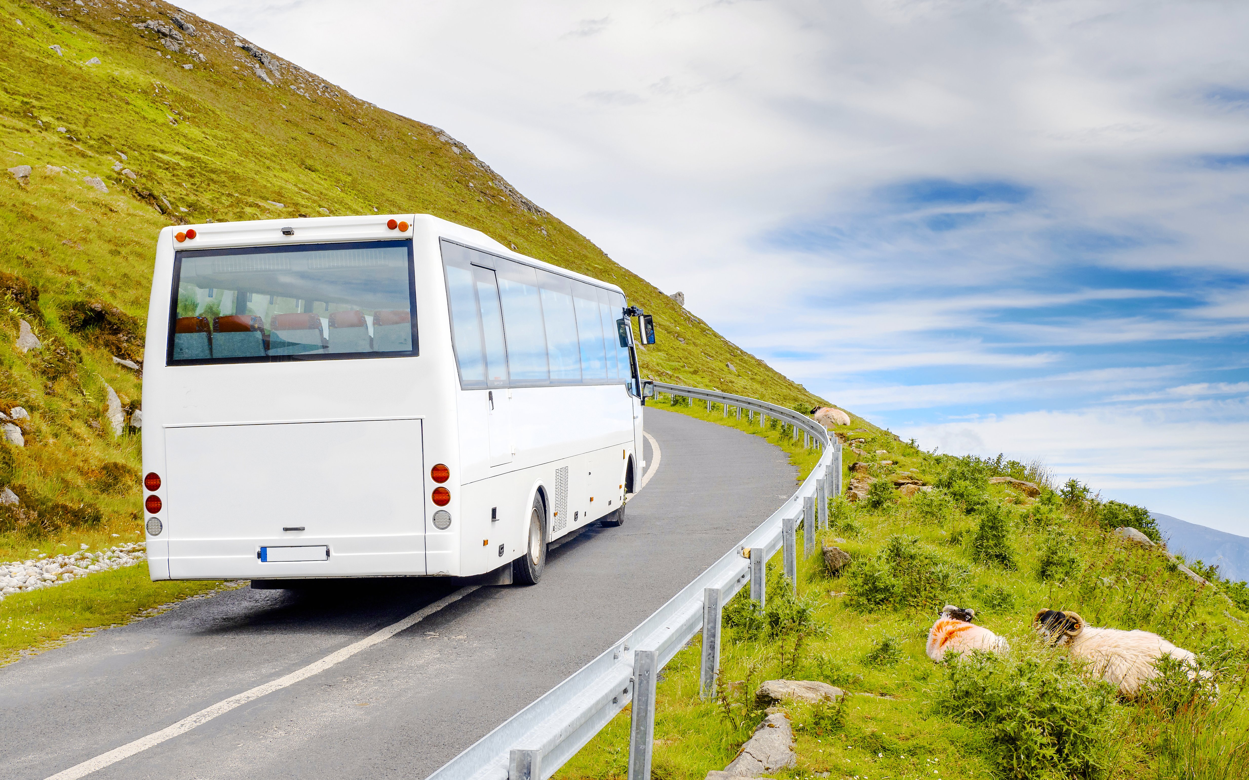 Bus traveling on a scenic road in Ireland with sheep grazing nearby.