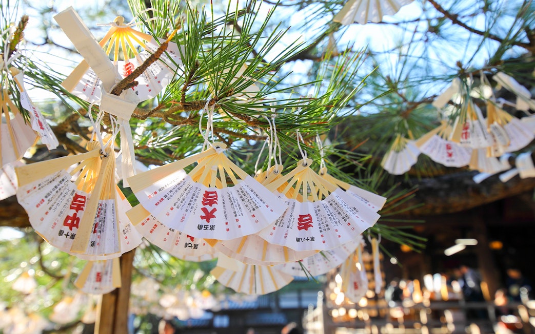 Wishes tied to a pine tree at a shrine in Kyoto, Japan.