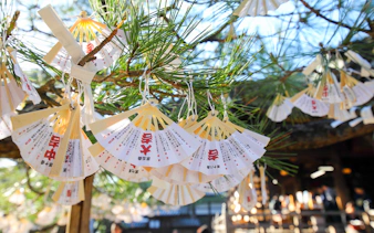 Wishes tied to a pine tree at a shrine in Kyoto, Japan.