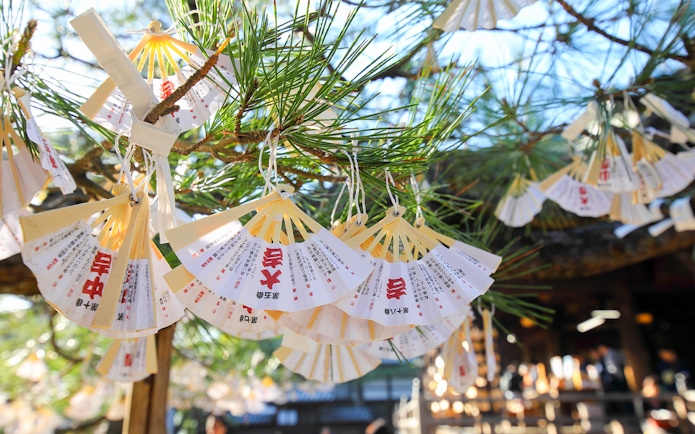 Wishes tied to a pine tree at a shrine in Kyoto, Japan.
