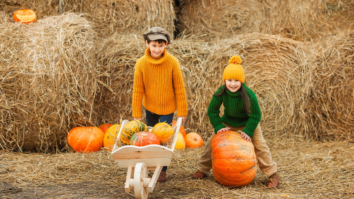 Children playing with pumpkins in an autumn setting with hay bales.